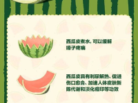 关于吃瓜的网帖,揭秘吃瓜群众的狂欢与反思